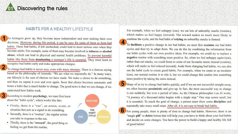 Unit2 Learning about language（Structures）-课件2022-2023学年高二英语下学期人教版（2019）选择性必修三04