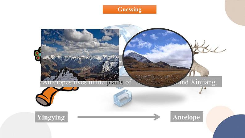 UNIT 2 Reading and Thinking（课件PPT）02