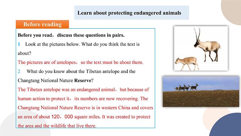 UNIT 2 Reading and Thinking（课件PPT）05