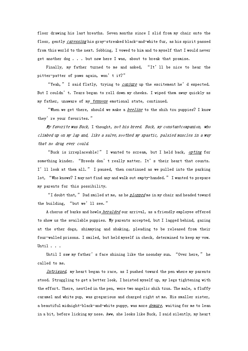 2023届高三英语二轮复习学案名著阅读之心灵鸡汤精选BallerinaDog02
