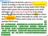 B3U3 Fit for life Reading (Language points)課件PPT