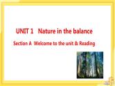 高中英语-必修第三册-译林牛津版 UNIT 1 Section A（课件PPT）