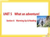 高中英语 必修第三册 外研版 UNIT 5  Section A 教学课件