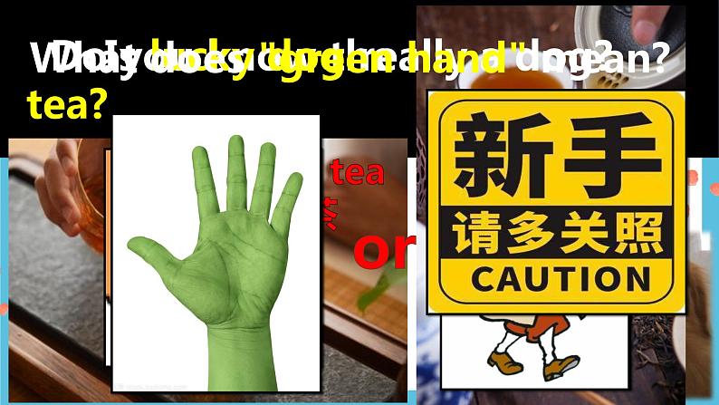 Unit 2 Exploring English第二课时understanding ideas课件07