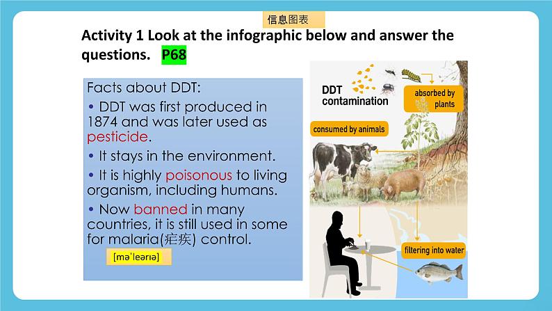 Unit 6 Nature in words Developing ideas 课件第4页