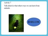 Unit 5 Learning from Nature 第5课时 Presenting ideas 课件