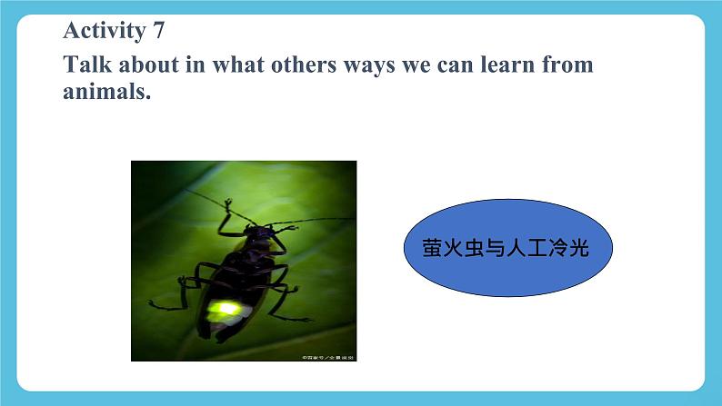 Unit 5 Learning from Nature 第5课时 Presenting ideas 课件04