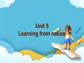 Unit 5 Learning from nature Developing ideas 课件