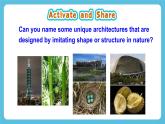 Unit 5 Understanding ideas 课件