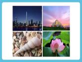 Unit 5 Understanding ideas 课件