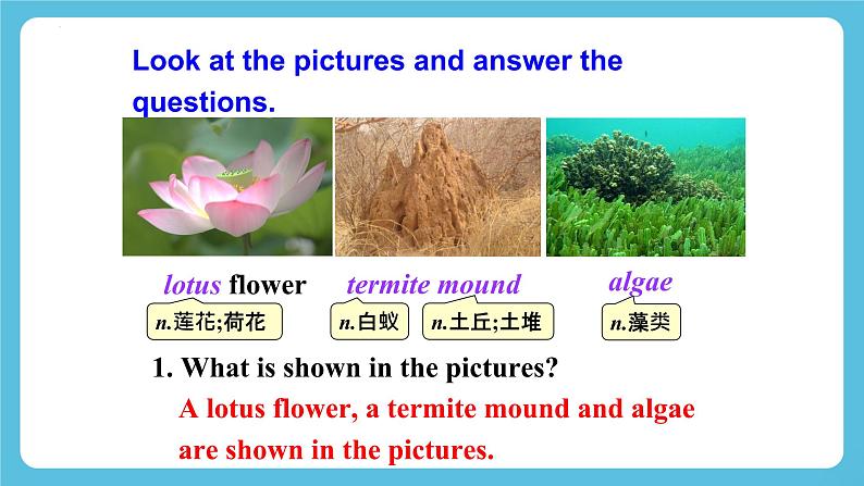 Unit 5 Understanding ideas 课件06