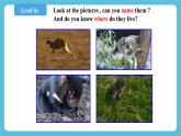 Unit 2 Iconic Attractions period 5 Using langusge Describe an animal 课件+教案