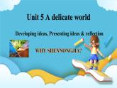 5.3 Unit 5 Developing ideas, Presenting ideas & reflection 课件＋练习