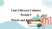 人教版 (2019)必修 第三册Unit 3 Diverse Cultures精品ppt课件