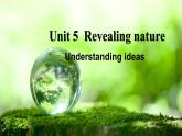 Unit 5 Understanding ideas 知识点课件-2022-2023学年高中英语外研版（2019）选择性必修第一册