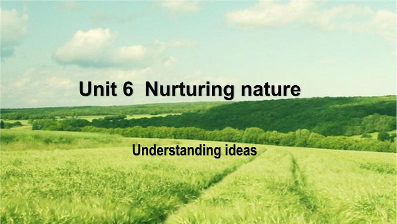 Unit 6 Understanding ideas 知识点课件-2022-2023学年高中英语外研版（2019）选择性必修第一册第1页