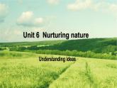 Unit 6 Understanding ideas 知识点课件-2022-2023学年高中英语外研版（2019）选择性必修第一册