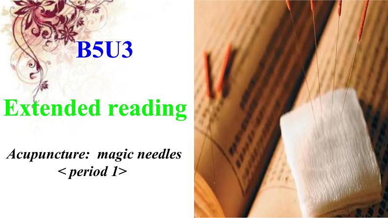 B5U3 Extended reading课件PPT01