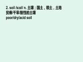 Unit 1 Reading 单词词汇搭配用法讲解课件-2022-2023学年高中英语牛津译林版（2020）选择性必修第三册