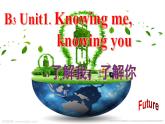 Unit 1 Understanding ideas Absolute agony 課件 2022-2023學年外研版（2019）高中英語必修第三冊