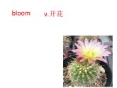 Unit 6 Nature in Words 单词2课件-2022-2023学年高中英语外研版（2019）选择性必修第三册