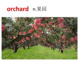 Unit 6 Nature in Words 单词3课件-2022-2023学年高中英语外研版（2019）选择性必修第三册
