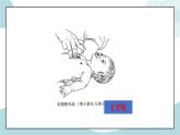5.1ReadingandThinking课件+练习