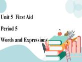 5.2Wordsandexpressions课件+练习