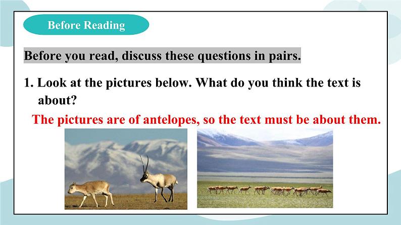 2.2 Reading and Thinking 课件第5页