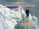 Unit 4 單詞精講課件-2022-2023學年高中英語人教版（2019）選擇性必修第三冊