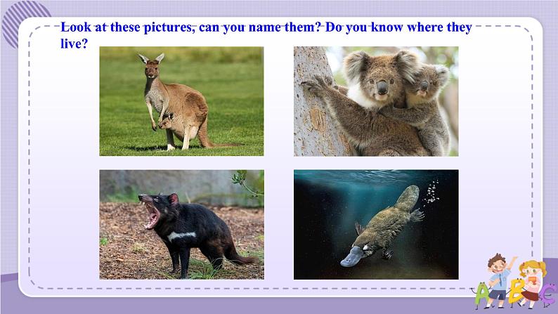 人教版高中英语选择性必修第四册·UNIT2 Using Language—Describe an iconic animal（课件PPT）03