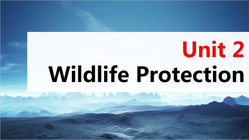 高考英语一轮复习课件  第1部分 教材知识解读 必修第2册 Unit 2   Wildlife Protection03