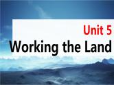 高考英语一轮复习课件  第1部分 教材知识解读 选择性必修第1册 Unit 5   Working the Land