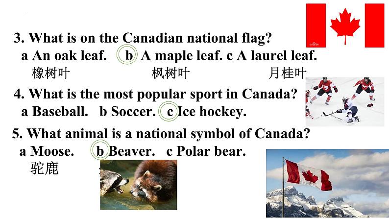 Unit 5 On the road Developing ideas公开课课件-2022-2023学年高中英语外研版（2019）必修第二册第4页