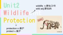 英语Unit 2 Wildlife protection说课课件ppt