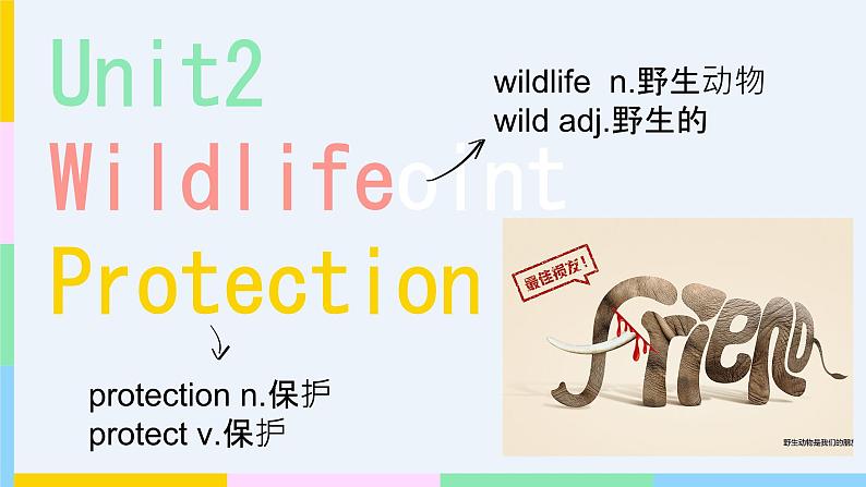 Unit 2 Wildlife Protection 单词部分课件PPT01