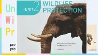 人教版 (2019)必修 第二册Unit 2 Wildlife protection教学ppt课件