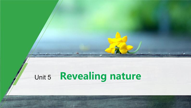 高中外研版英语新教材选修第1册课件+讲义  Unit 5 第01讲  Starting out & Understanding ideas—Comprehending01