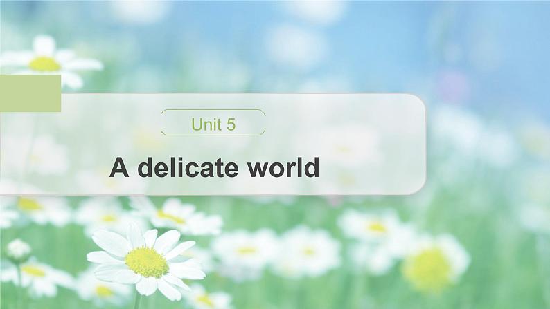 高中外研版英语新教材选修第2册课件+讲义  Unit 5 第04讲  Grammar01