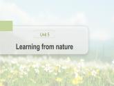 高中外研版英語(yǔ)新教材選修第3冊(cè)課件+講義   Unit 5 第03講  Learning about Language