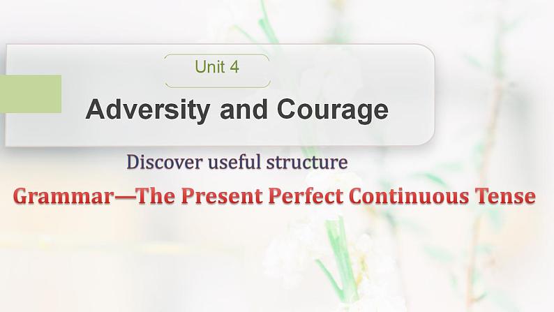 Unit 4 Discover Useful Structures 课件-2022-2023学年高中英语人教版（2019）选择性必修第三册第1页