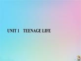 新教材2023年高中英语 Unit 1 Teenage Life Section Ⅱ　Discovering Useful Structures课件 新人教版必修第一册