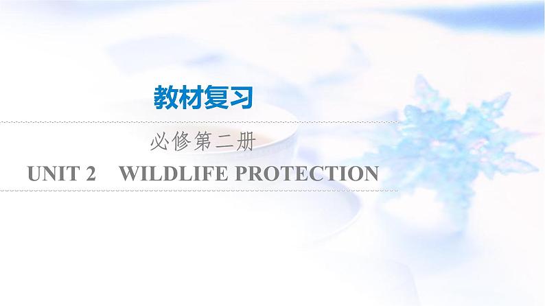 高考英语一轮复习必修第2册UNIT2 WILDLIFE PROTECTION课件01