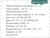Unit 3 Diverse Cultures(第二课时)课件PPT