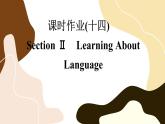 Unit 5 Launching Your Care (第2课时)练习课件PPT