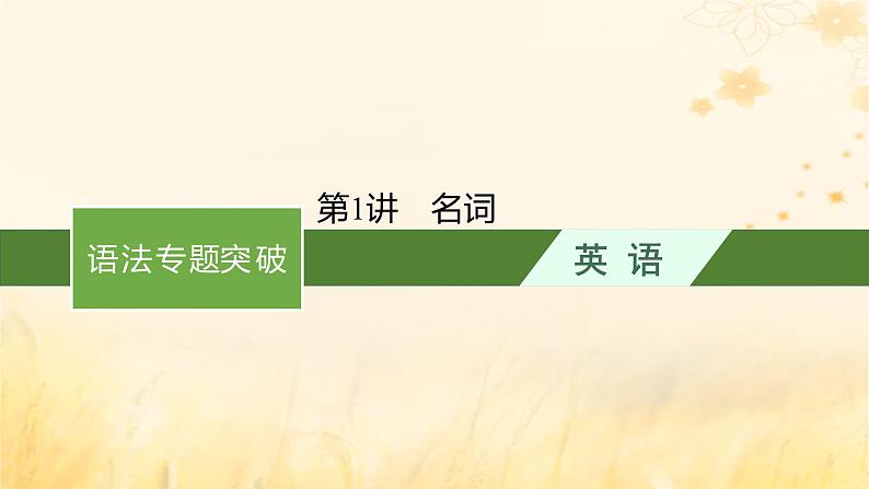 适用于新教材2024版高考英语一轮总复习语法专题突破专题4第1讲名词课件外研版第1页