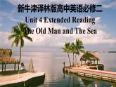 新牛津译林版高中英语必修二Unit4 Exploring Literature-Extended Reading课件