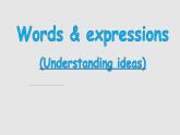 必修一 Unit 1 -单词教学 (2)-Understanding ideas课件PPT