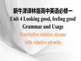 新牛津译林版高中英语必修一Unit4Looking good,feeling good-Grammar and Usage课件PPT