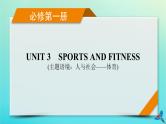 新教材适用2024版高考英语一轮总复习必修第一册Unit3SportsAndFitness课件